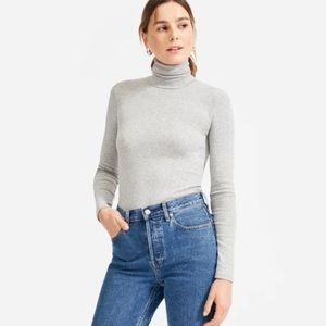 Everlane The Pima Micro-Rib Turtleneck